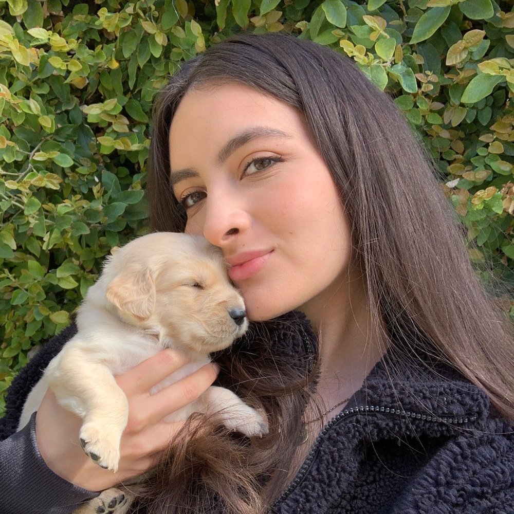 Meet your Posher, Veronica